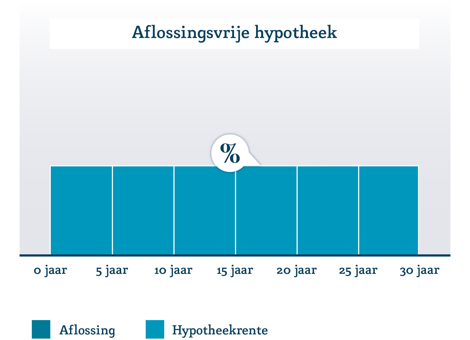 Aflossingsvrije Hypotheek - Hypotheekvormen